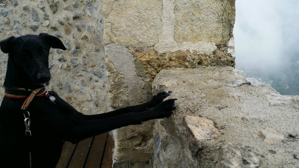 Atena in visita al castello