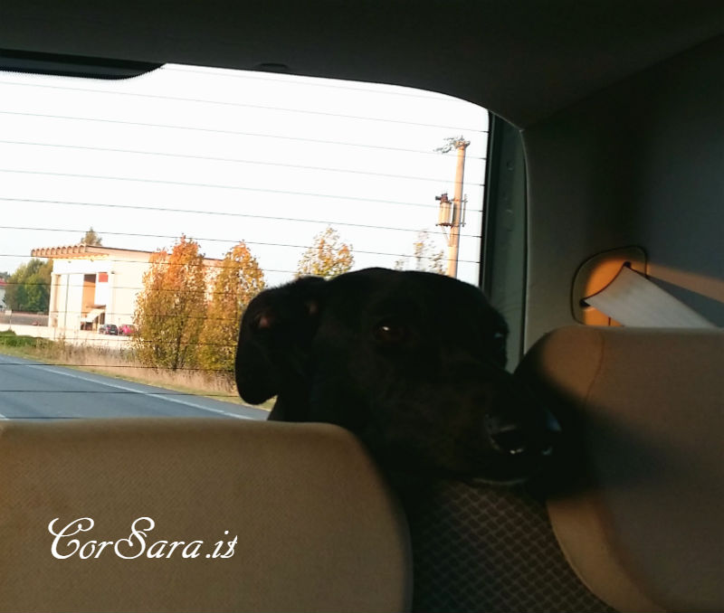 Atena in auto verso la Slovenia