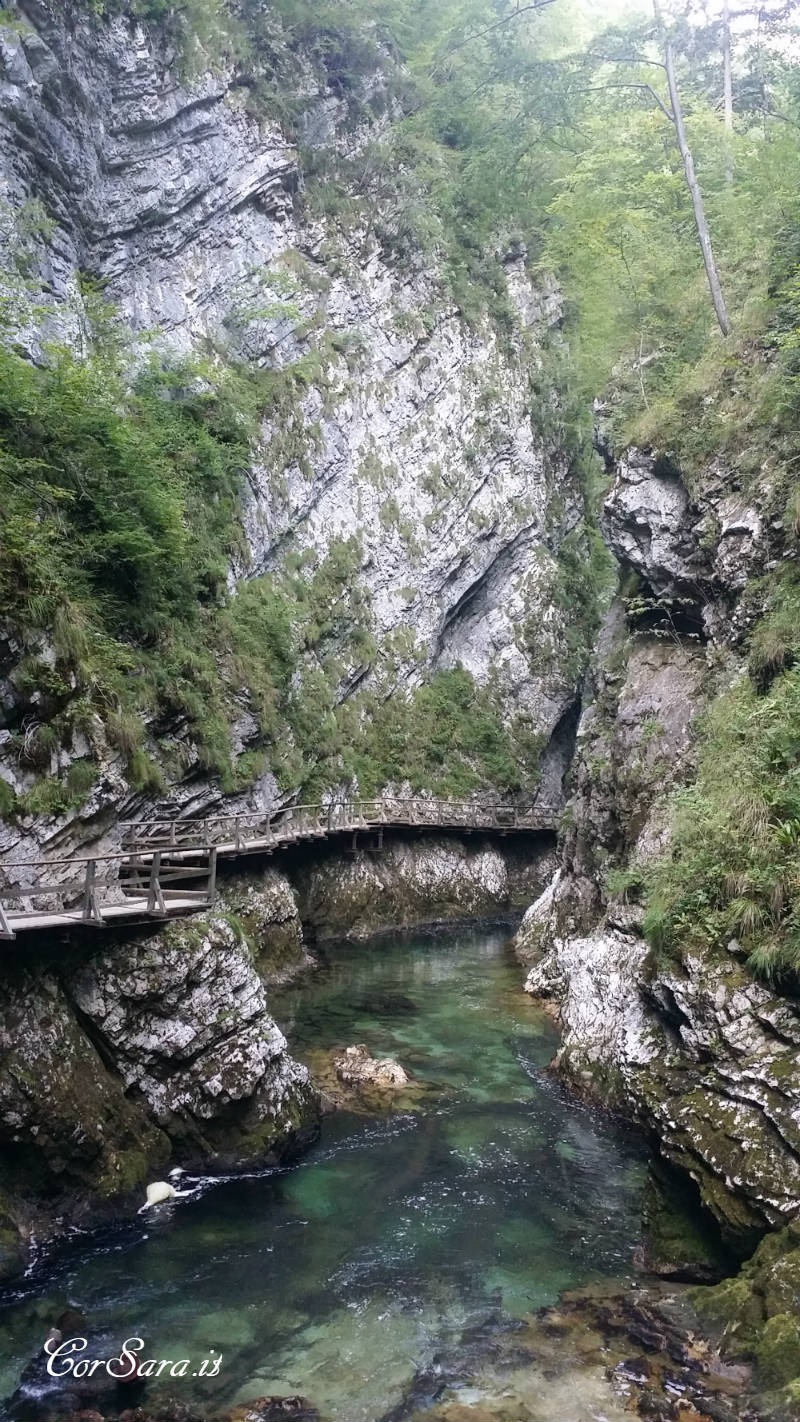 Gola di Vintgar