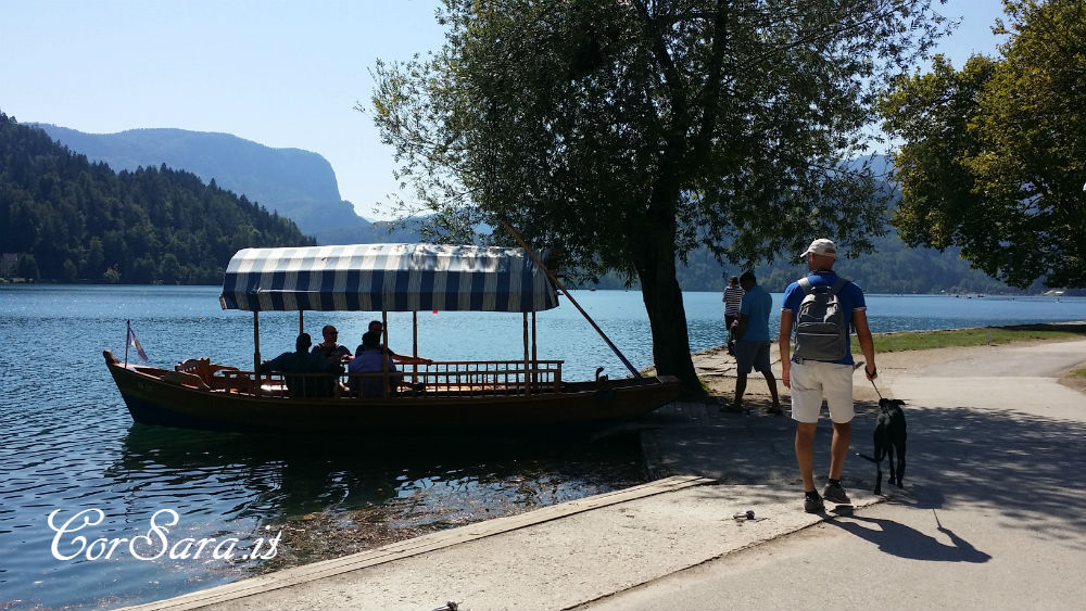 Una Platna sul lago di Bled