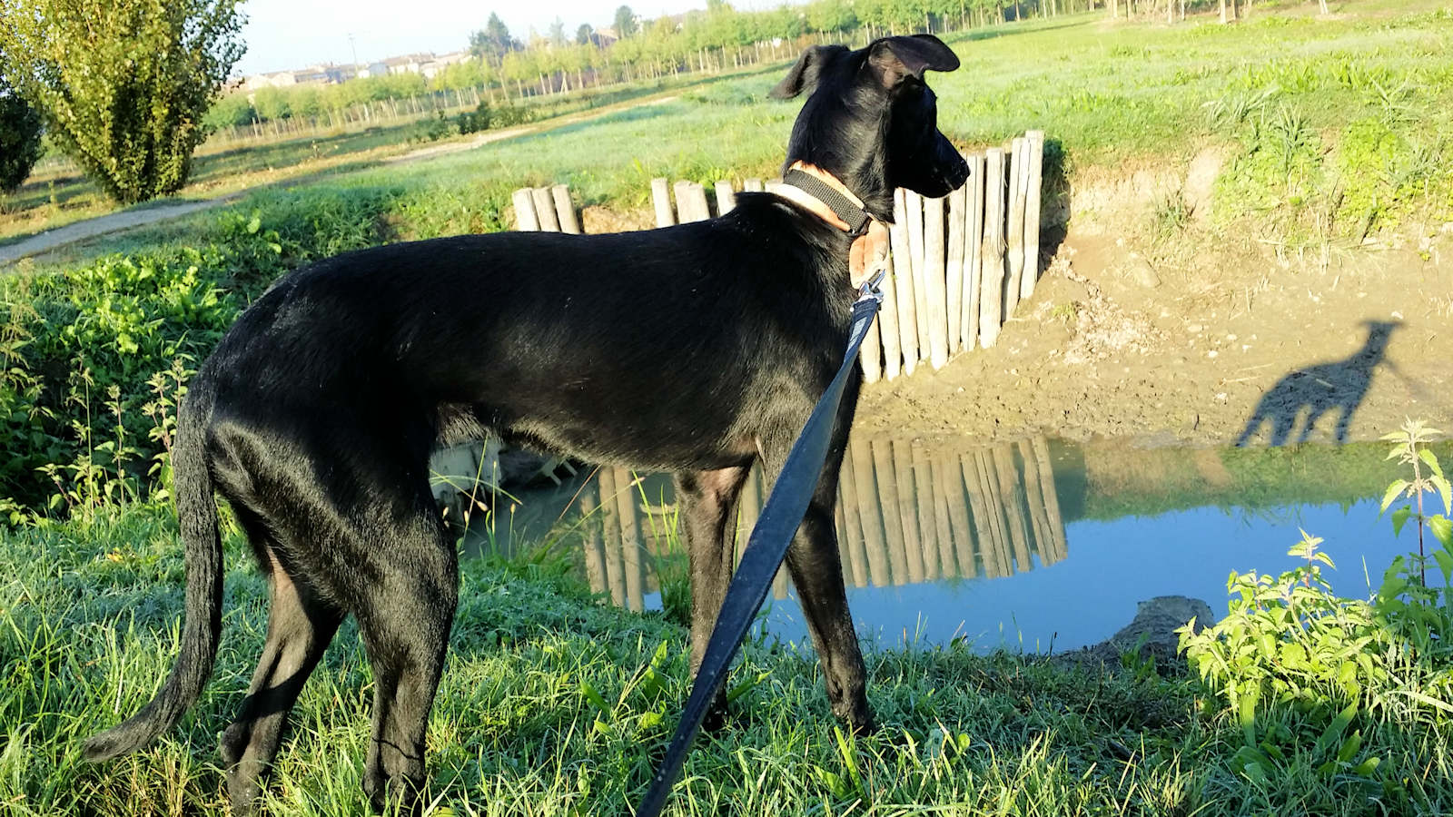 Atena!