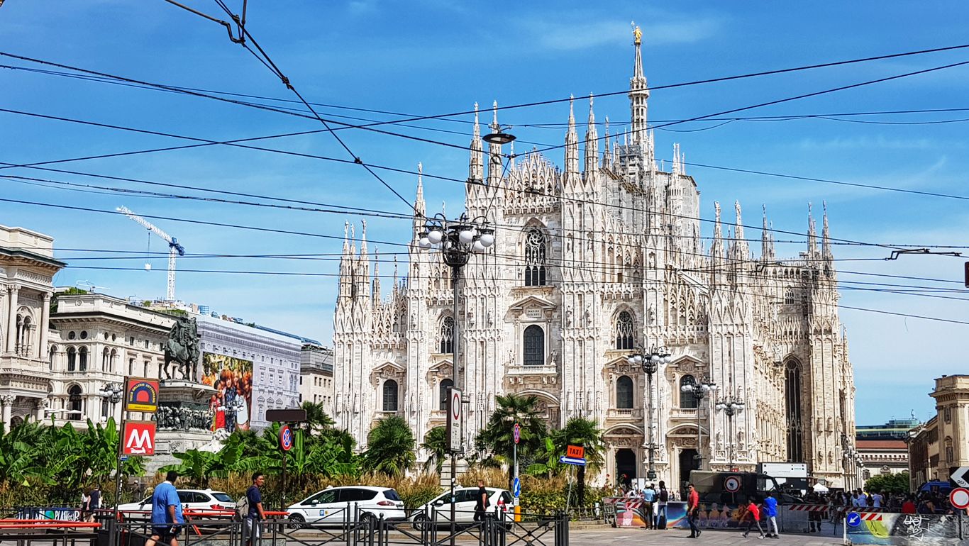 Ferragosto a Milano con il cane?